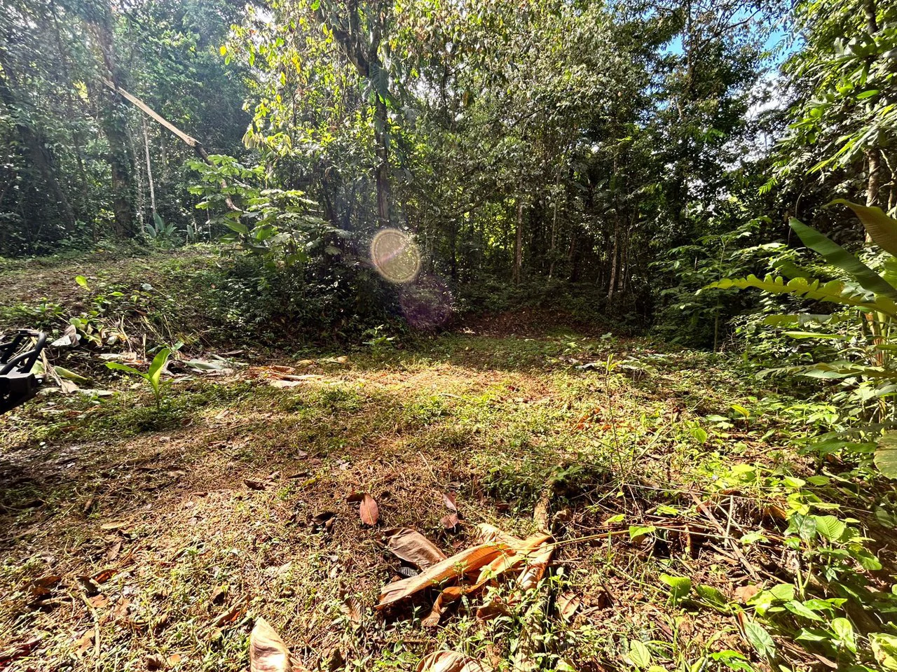 1.4-acre gated lot in Uvita - Gallery image 10