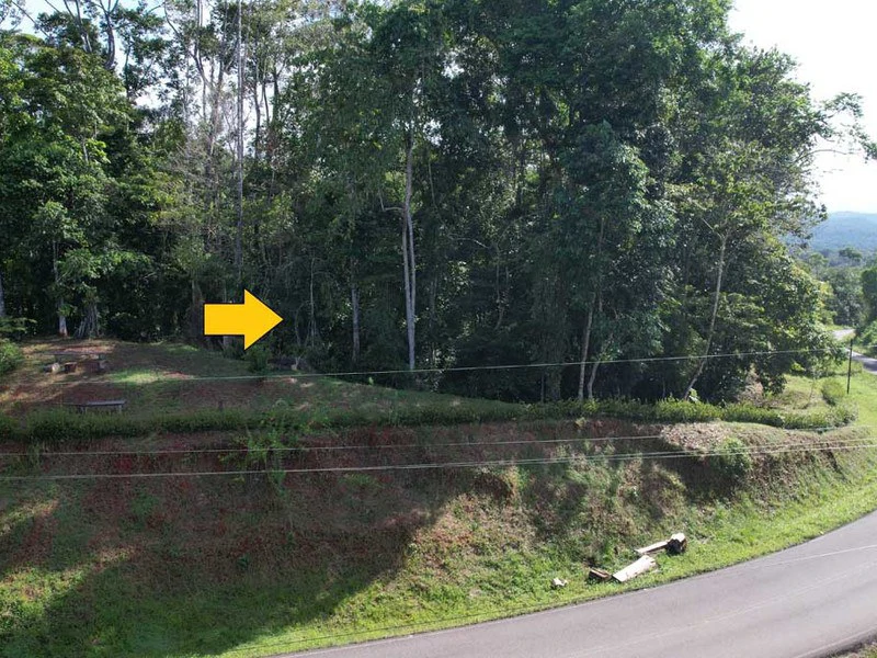 2.47 Acres Property | Mountain Top Ocean View lot in Bahía Chal - Gallery image 4