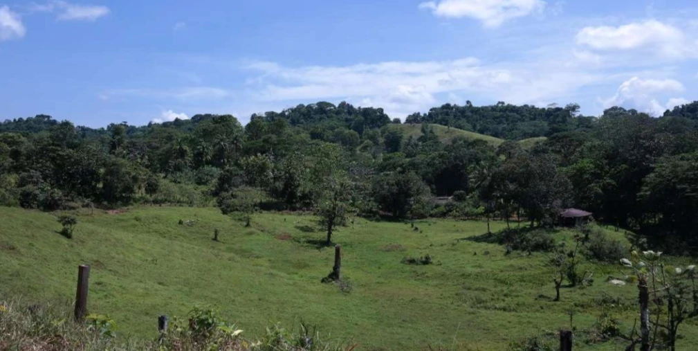 Countryside and Mountain Property For Sale in Pococi - Gallery image 10