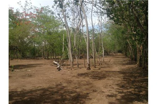 Commercial land in Guanacaste 0.87ha : 900701029-120 - Gallery image 8