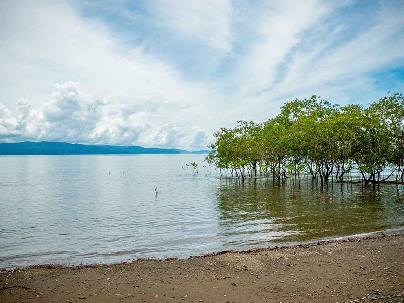 Titled Beach Property in the Osa - Gallery image 2