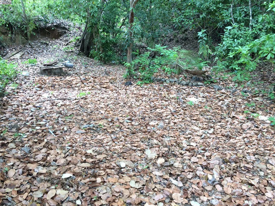 GRAN OPORTUNIDAD: GREAT OPPORTUNITY. Property of 48.3 hectares adjacent to the Hotel Riu - Gallery image 9