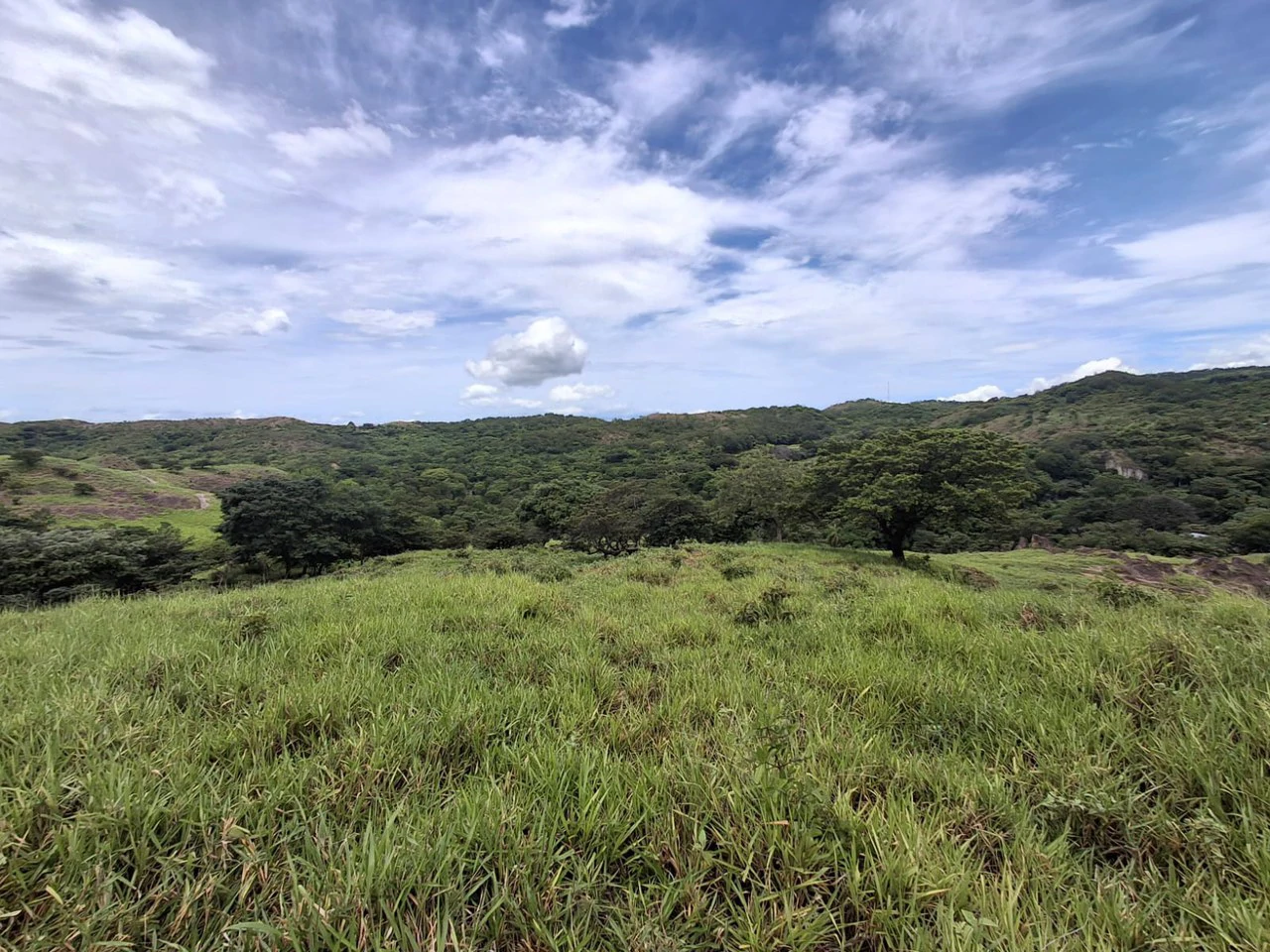 Natural beauty meets Tranquility!: 70,000m2 in Growing Geothermal Eco-Tourism area! - Gallery image 5