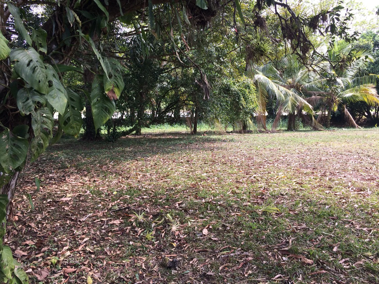 Propiedad grande: Countryside Home Construction Site For Sale in Caño Negro - Gallery image 8