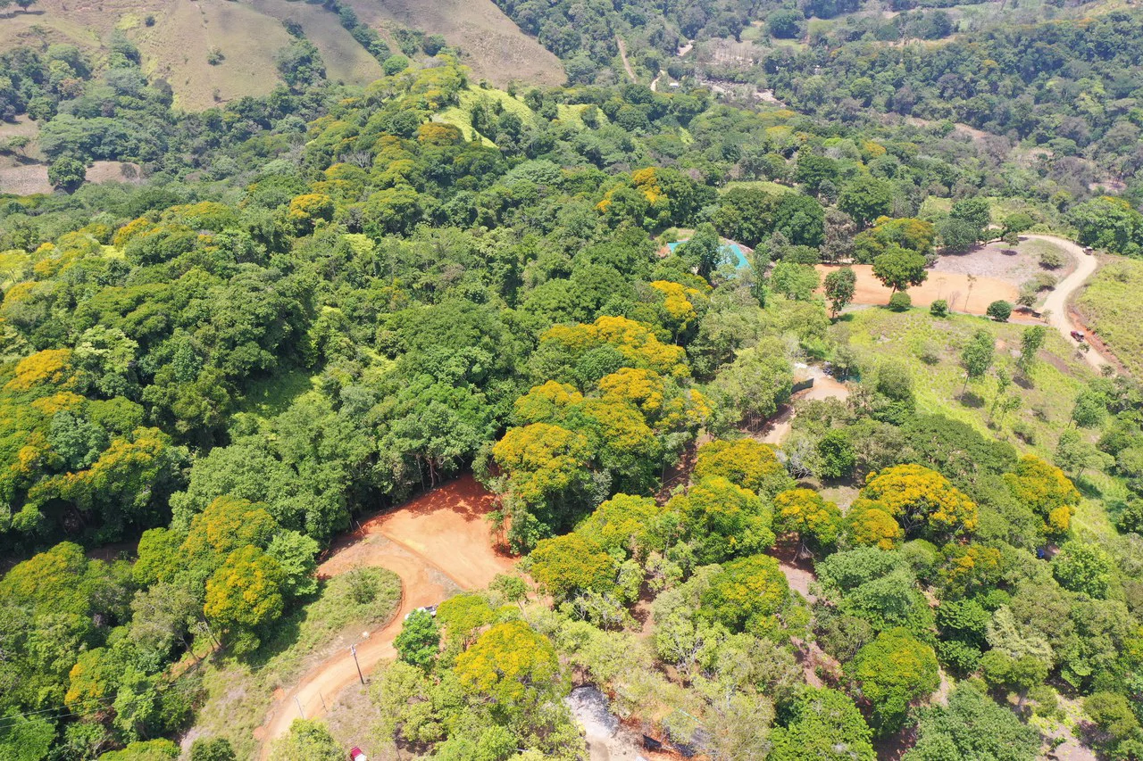 2.5 Acre Jungle and Valley View Home site in Dominical - Gallery image 4