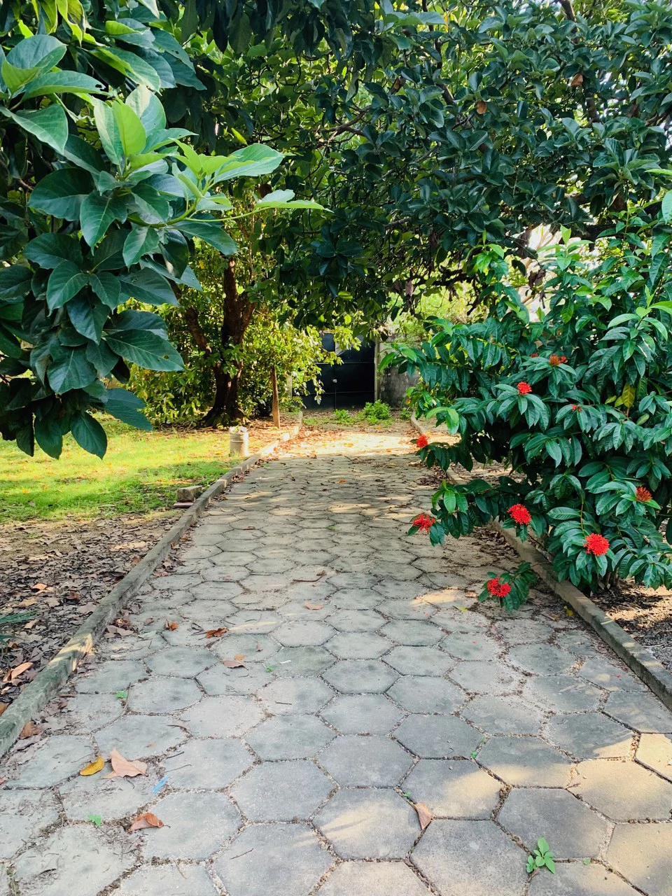 Land for sale to develop with house Liberia Guanacaste Costa Rica - Gallery image 10
