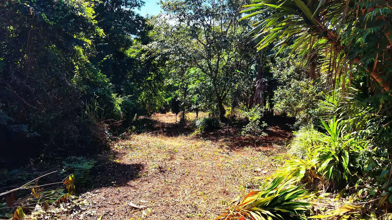 Home Construction Site For Sale in Pavones - Gallery image 9
