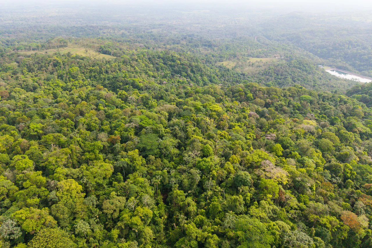 Finca Gran Bijagua: Breathtaking 10-Hectare Mountain Sanctuary in Bijagua, Costa Rica - Gallery image 5