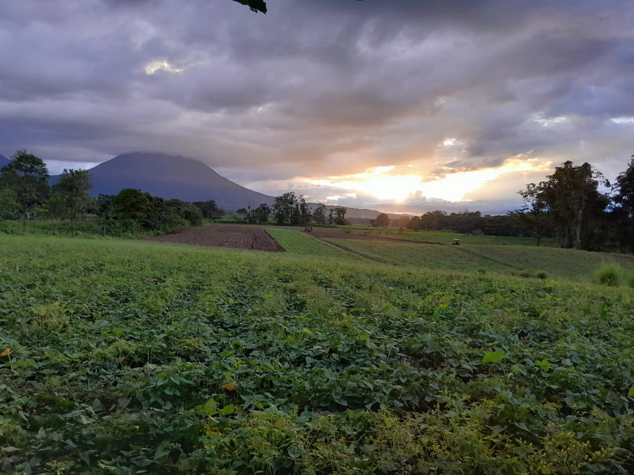 La Fortuna (Arenal) Opportunity!: 4 ha in La Fortuna Tourist Hotspot! USO: Hotel | Commercial | Mixted - Gallery image 4
