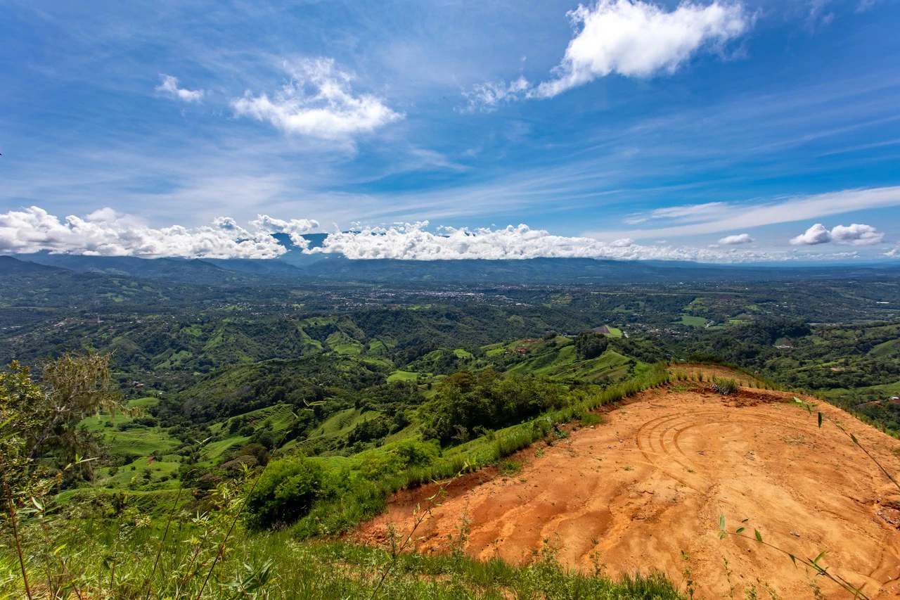 12 Acre Fruit Farm Above San Isidro City Lights Chirripó Views and Deep Well Water - Gallery image 21