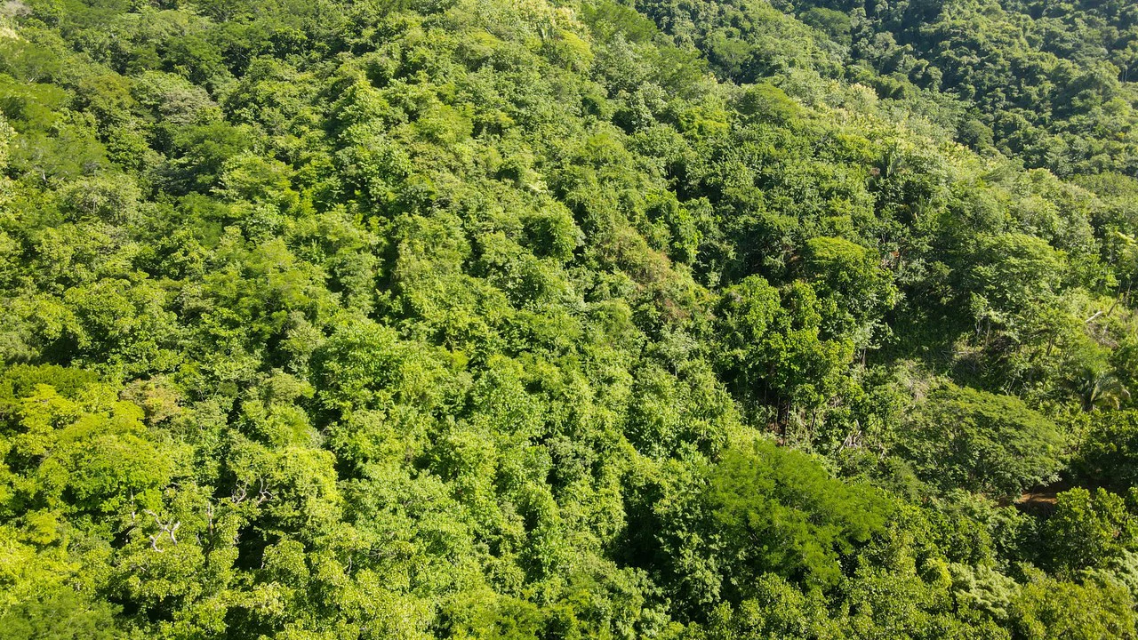 Farm for sale Bejuco Nandayure Guanacaste Costa Rica - Gallery image 6