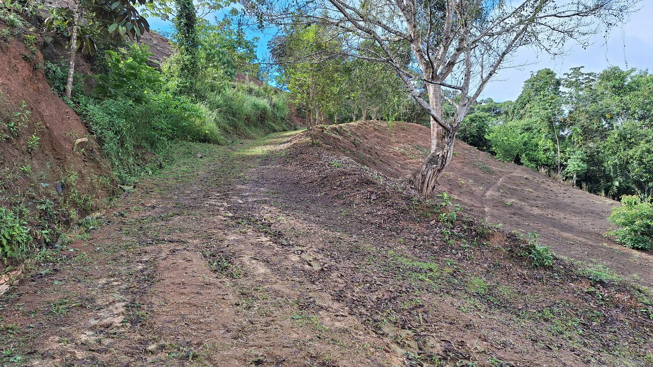 SUSTAINABLE PROPERTY FOR SALE IN THE PRIVACY OF PÉREZ ZELEDÓN, ROSARIO DE PACUAR - Gallery image 9