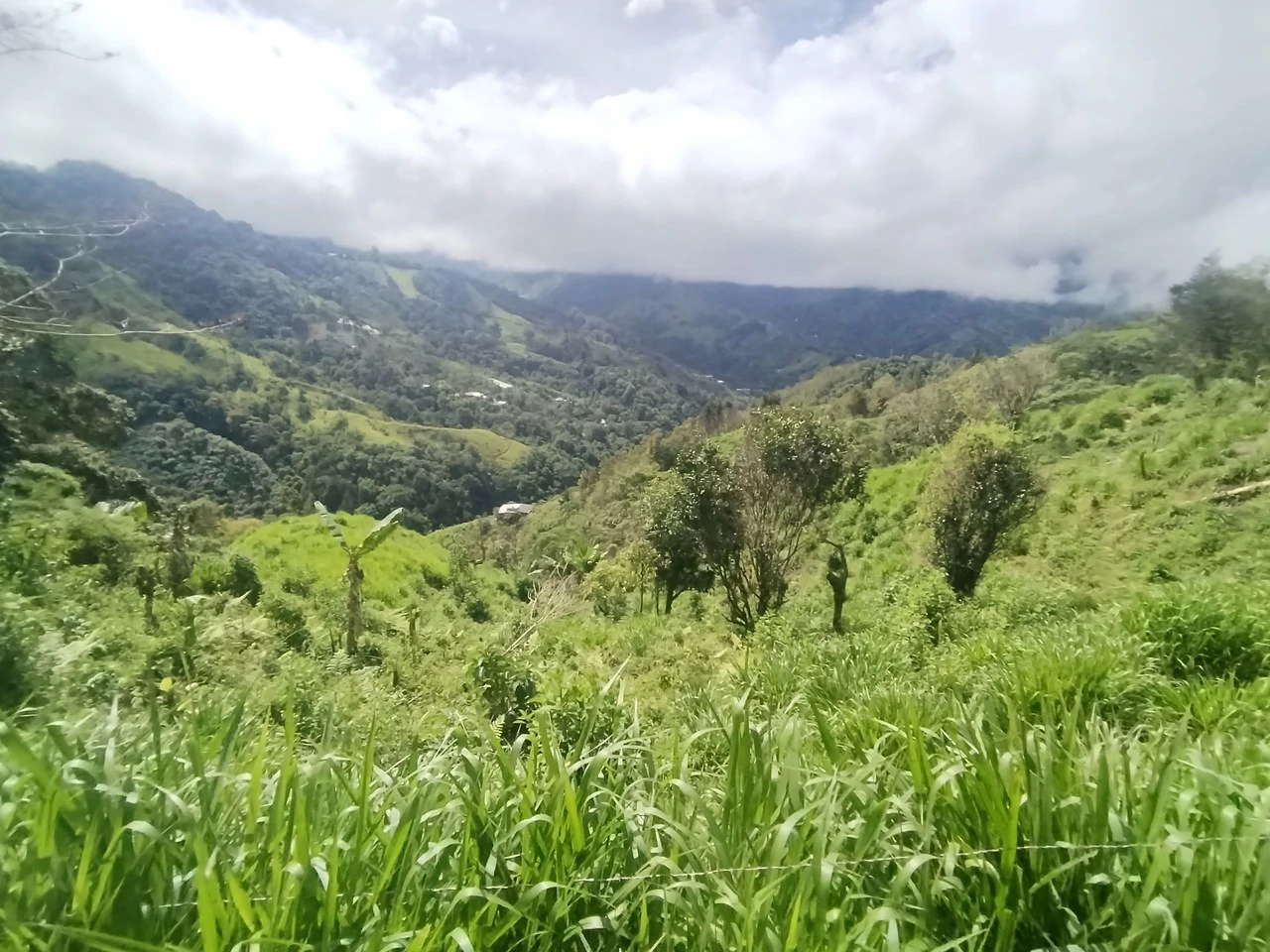LOTE EN HERRADURA RIVAS.: Mountain Agricultural Land For Sale in San Isidro del General - Gallery image 20