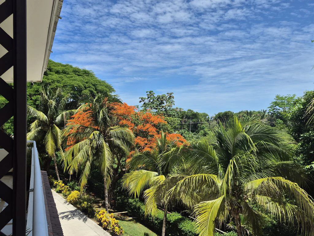 Condo Montelaguna: One Bedroom Condo with Pool Just Steps from Carrillo & Sámara Beaches – Rental Investment Opportunity - Gallery image 18