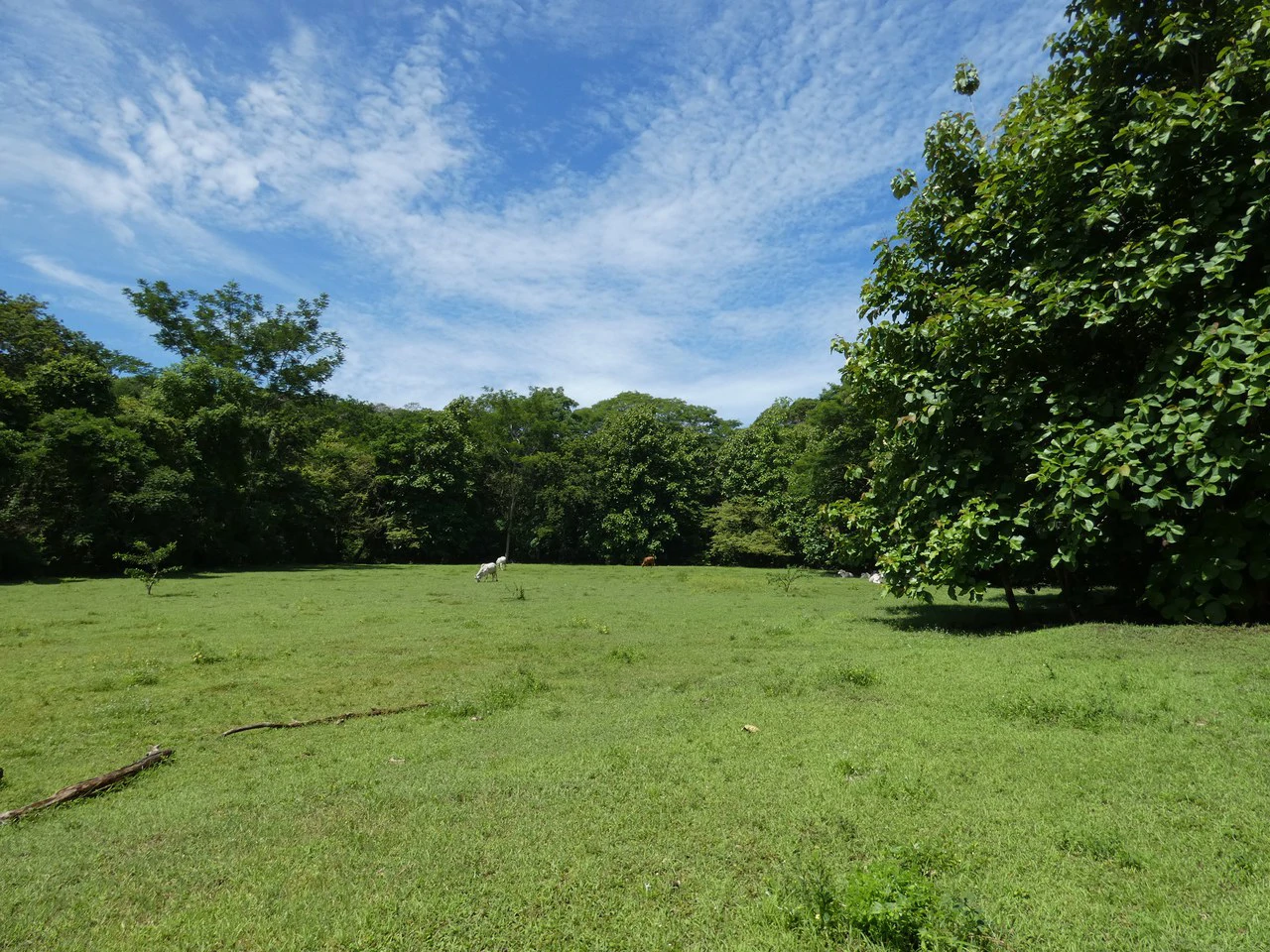 Samara beach property project with own natural reserve and ocean views - Gallery image 17