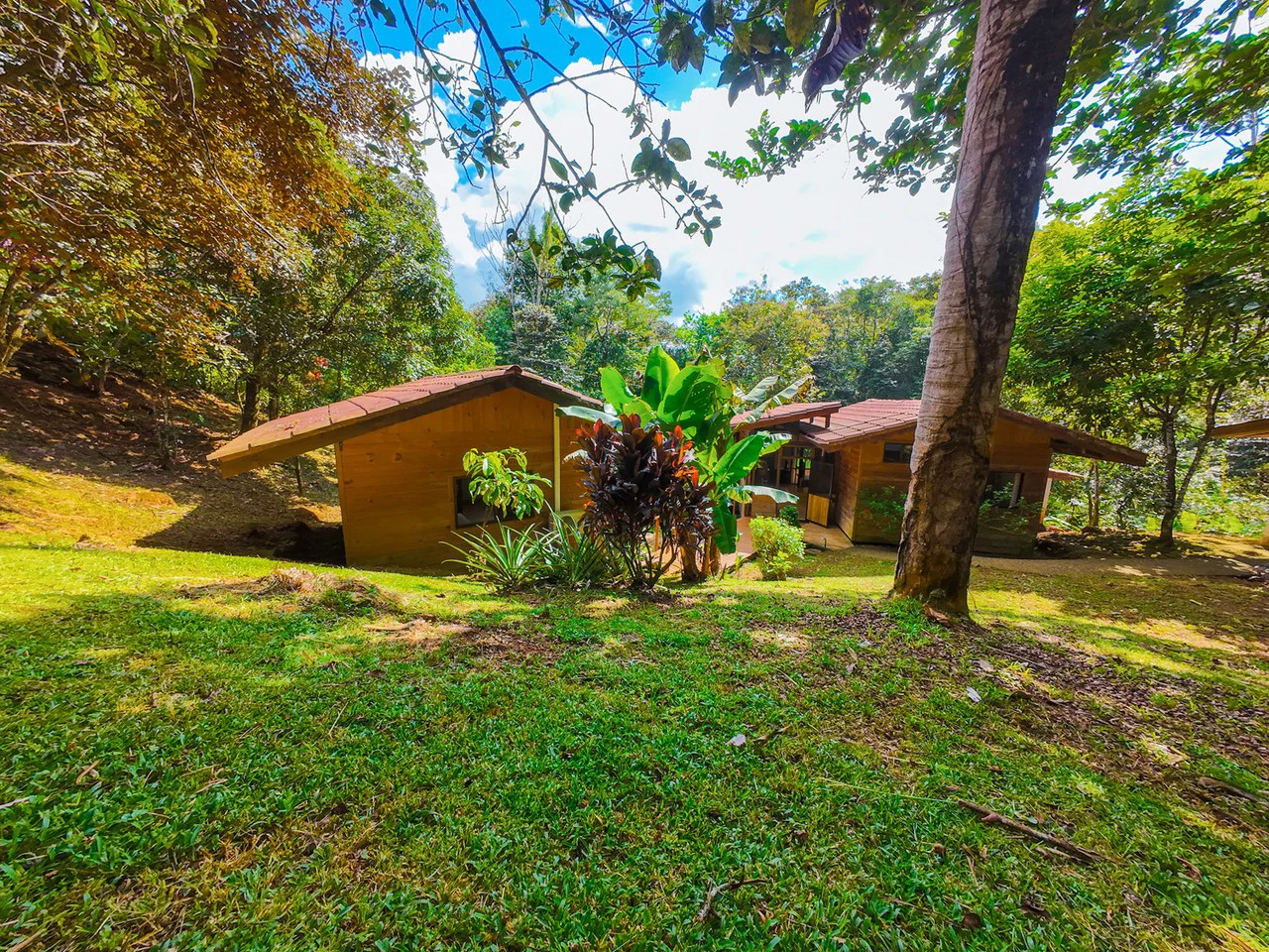 Serene Jungle Home + Guest Cabin on 3 Acres and River - Gallery image 34