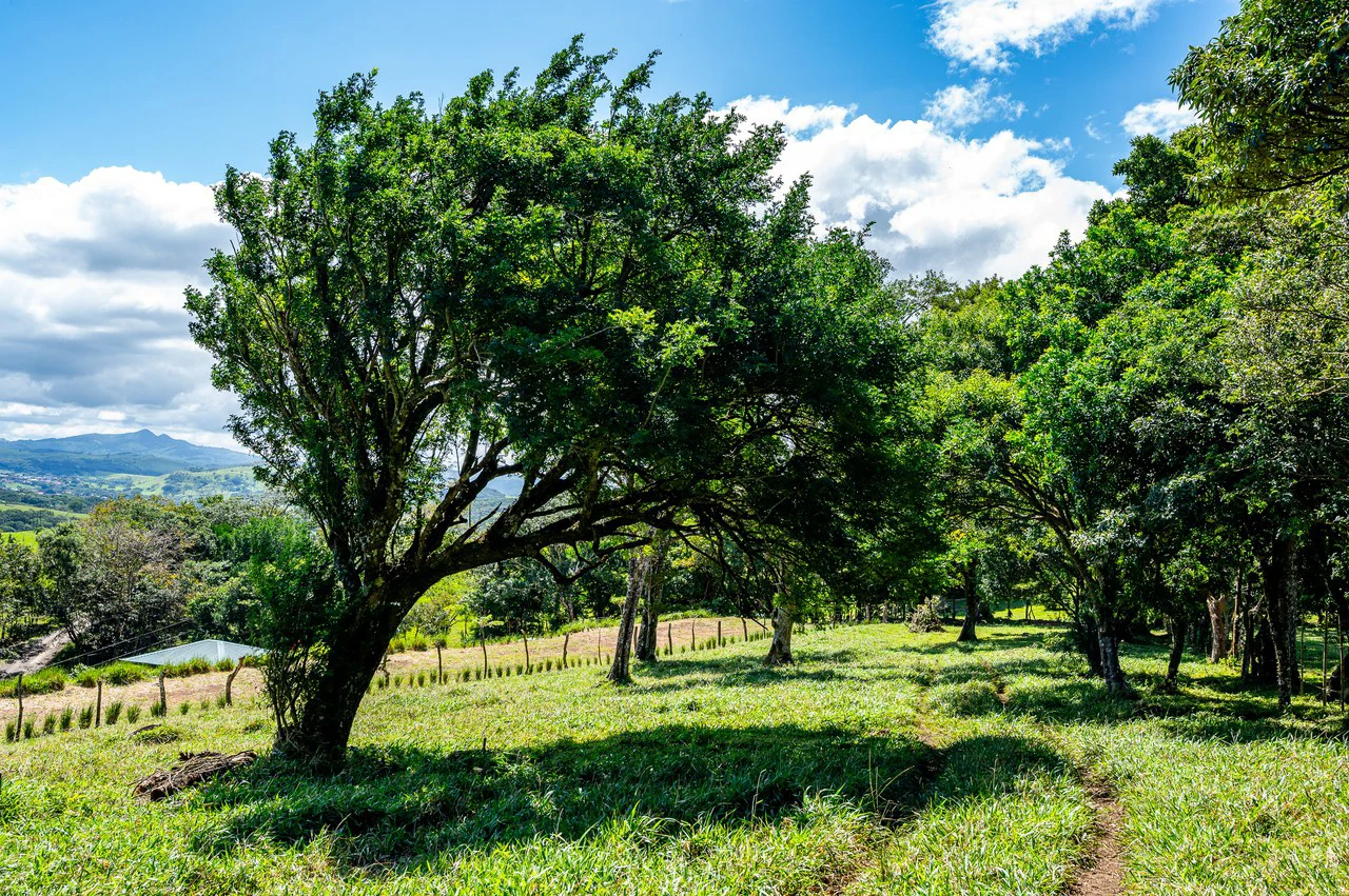LA CABAÑA - COUNTRY ESTATE WITH HUGE POTENTIAL - Gallery image 35