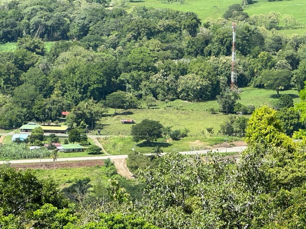 Exceptional Development Opportunity in Puerto Cortes, Osa - Gallery image 2