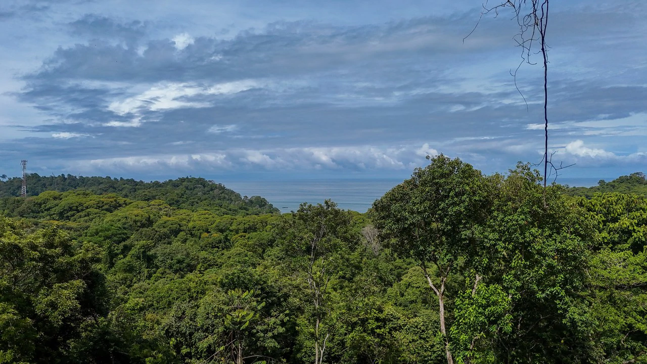 Spectacular Ocean view on 7.7 acres: Mountain Home Construction Site For Sale in Bahía Ballena - Gallery image 4