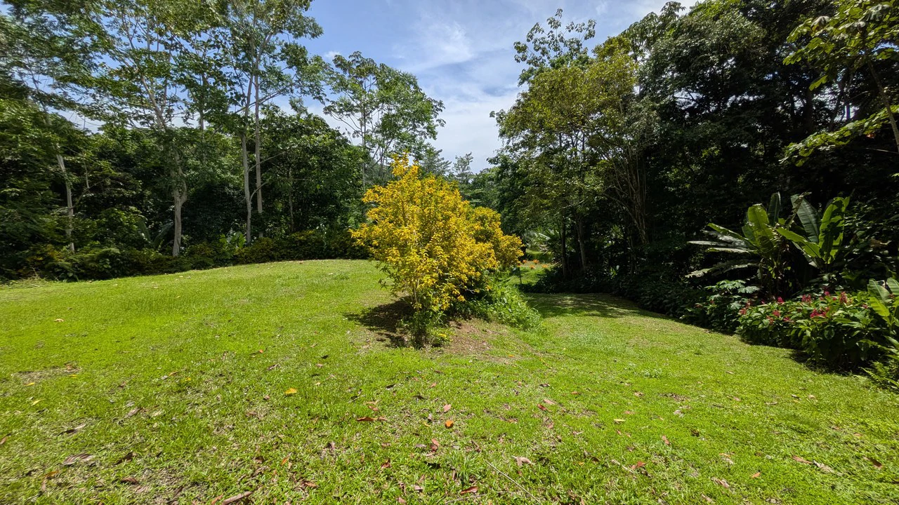 ID 4203: Land in Gated Community, Owner Financing available - Gallery image 5
