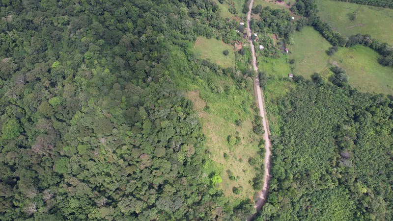 Ocean View & Primary forest 55-ha Rincon de Osa - Gallery image 4