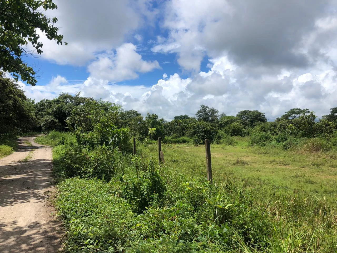 Development property for sale, Building project opportunity close to Liberia Airport and City with beautiful Flat property - Gallery image 3