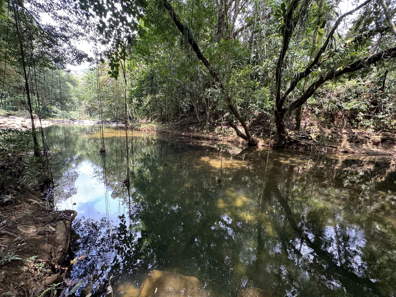 50 Acre Waterfall and River Paradise Above Dominical - Gallery image 59