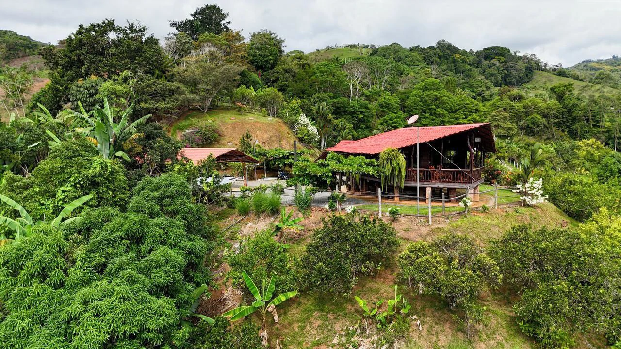 Charming Hardwood Cabin with Fruit Garden Near San Isidro - Gallery image 4