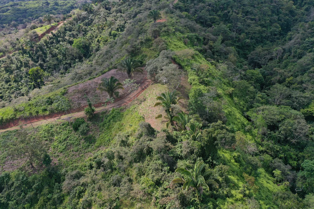 12 Acre Ocean View Farm in a Private Agricultural Community - Gallery image 6