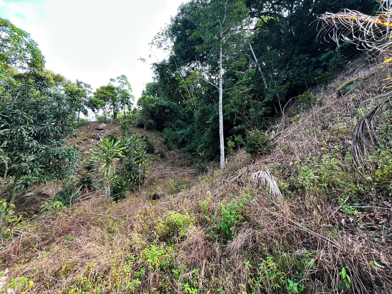 Lote en Chimirol, Costa Rica: Mountain Home Construction Site For Sale in San Isidro del General - Gallery image 7
