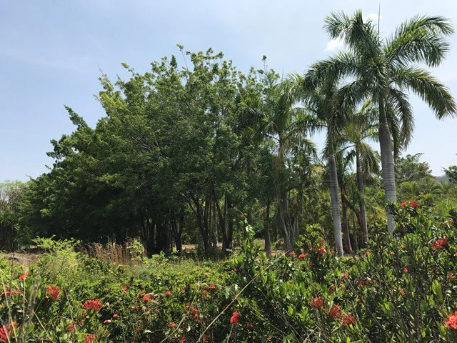 Great property in Santa Cruz: Excellent opportunity to develop in excellent location