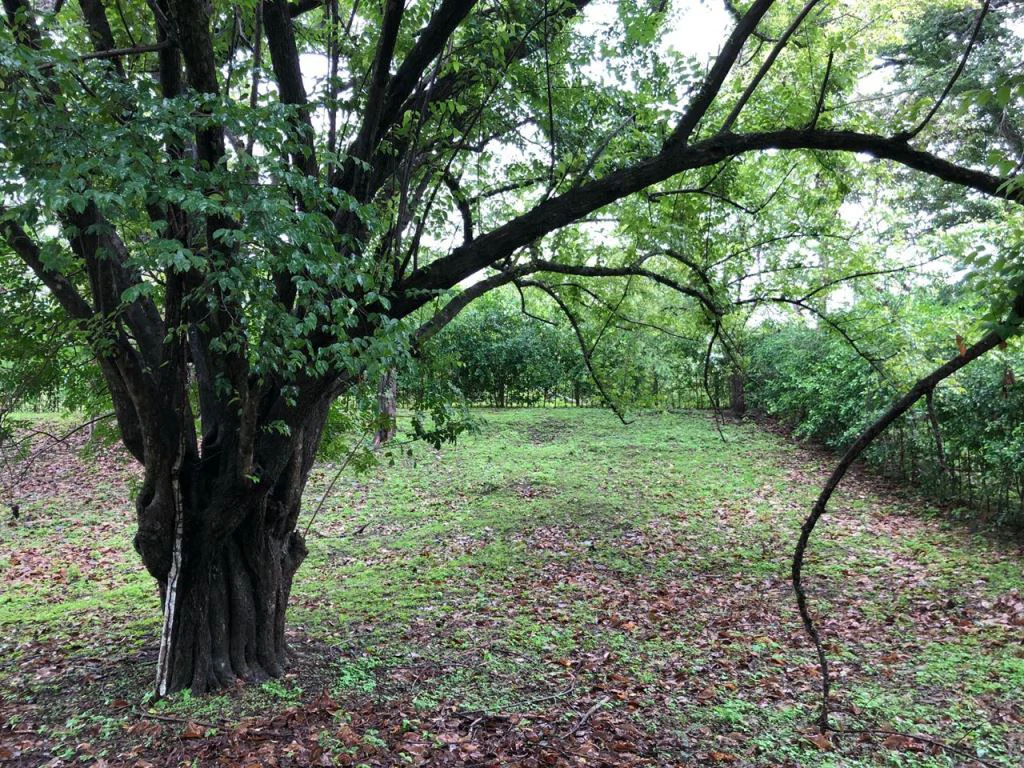 Lot in exclusive Residential, close to Beach Tamarindo - Gallery image 21