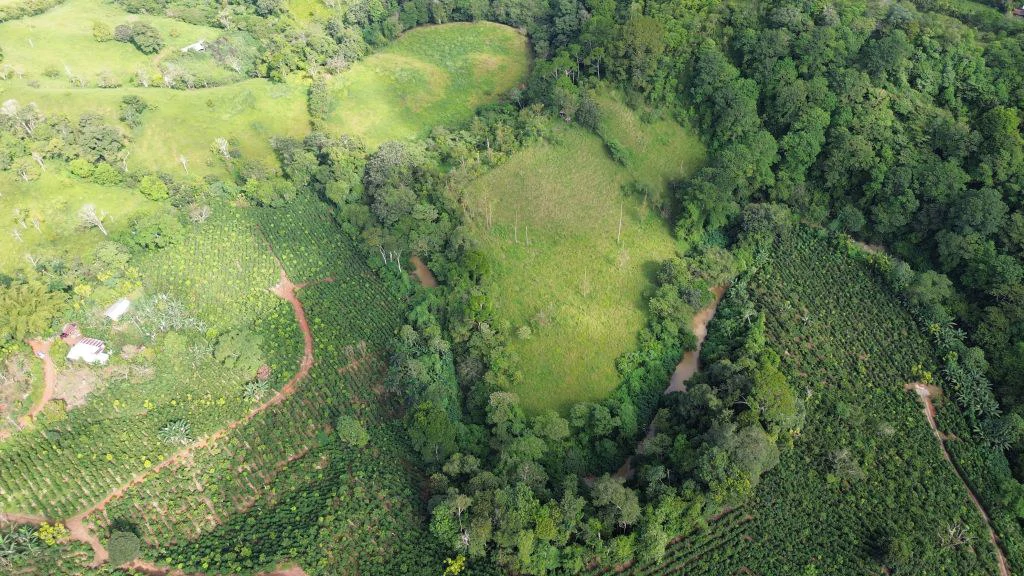 Mountain and Countryside Agricultural Land For Sale in Platanares - photo 13