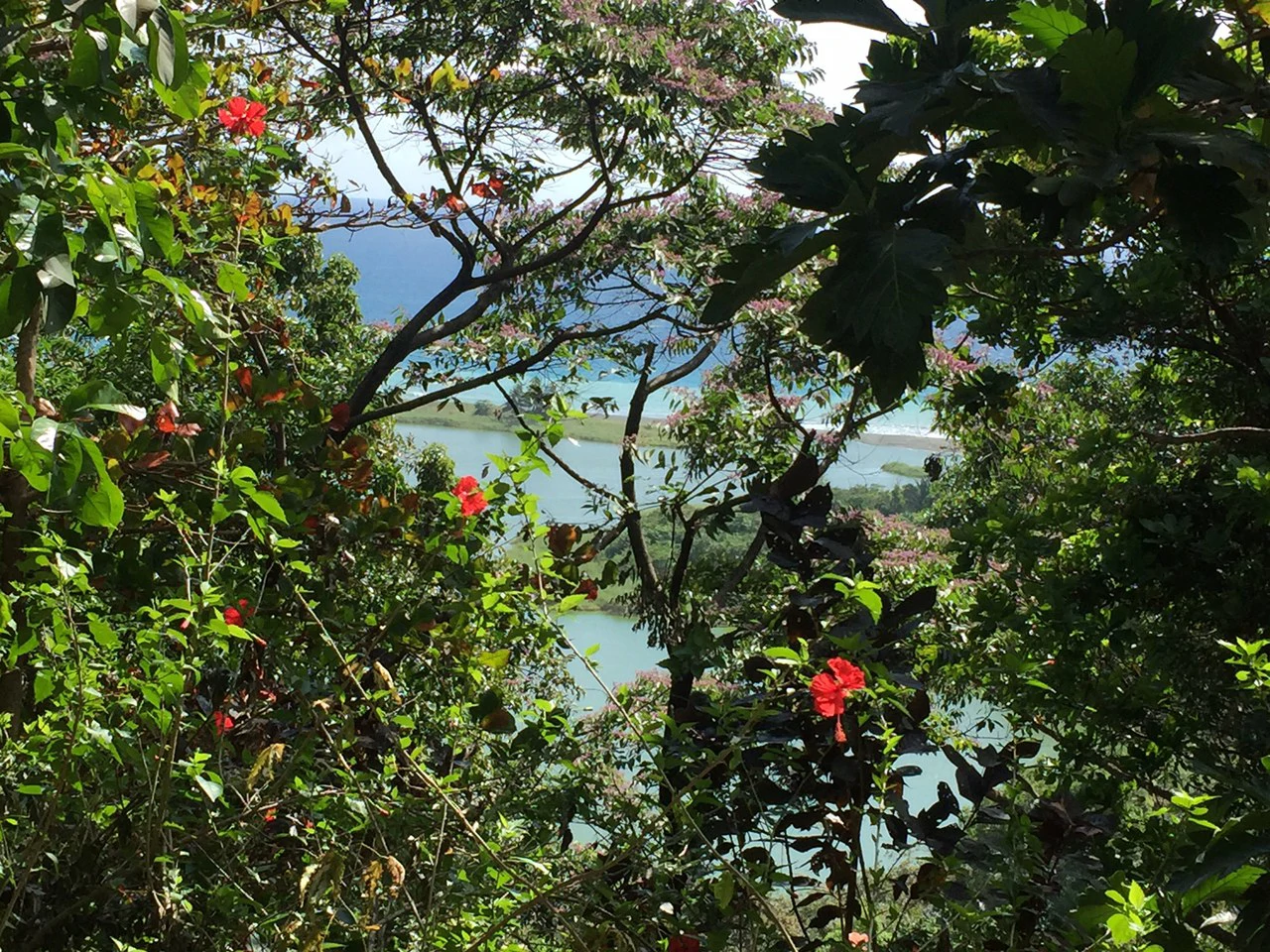 Osa Peninsula, Carate Beach: Incredible Ocean View above the Pacific - Gallery image 15