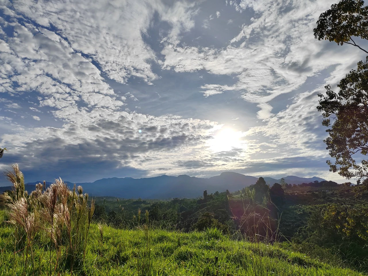 stunning valley and chirripo views, river with amazing swimming holes - Gallery image 10