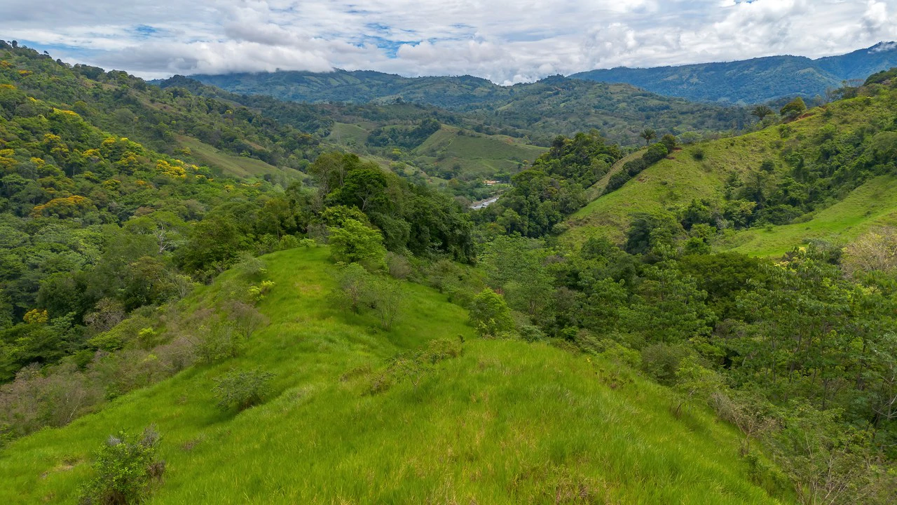 60+ Hectares in Platanillo | Own Your Own Mountain in Costa Rica - Gallery image 31