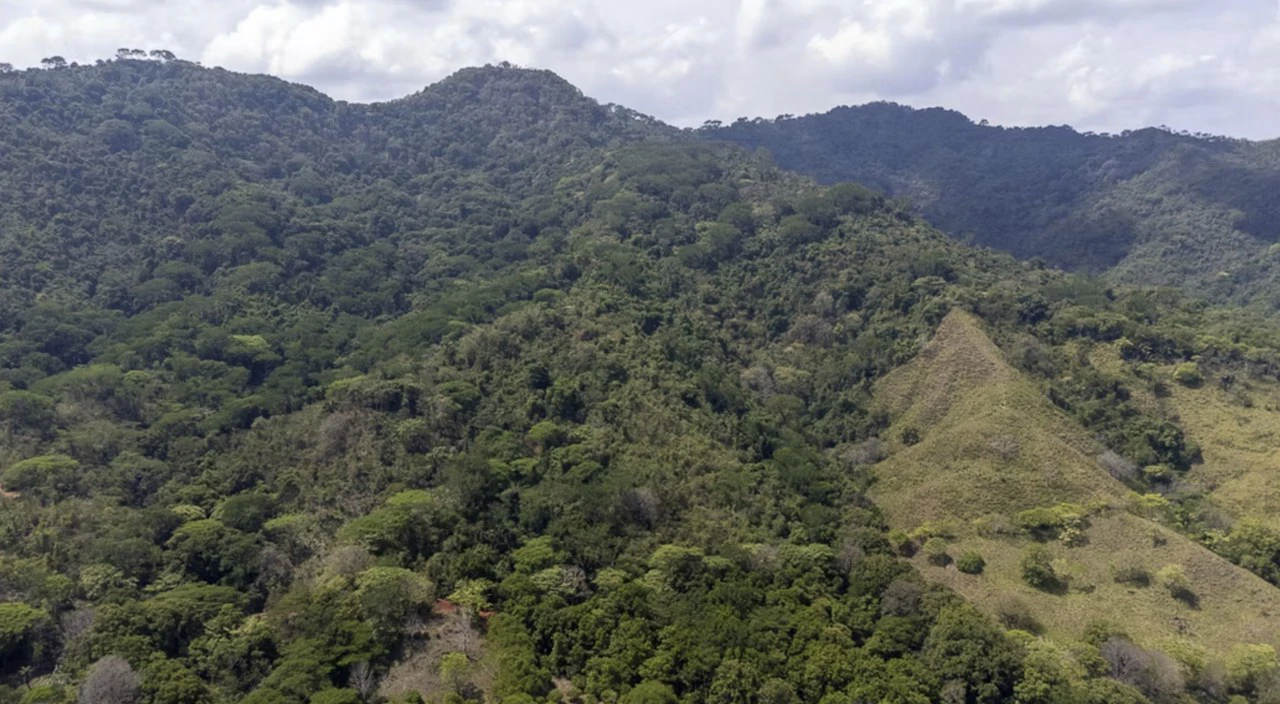 Farm for sale in Puntarenas Lepanto Costa Rica - Gallery image 8