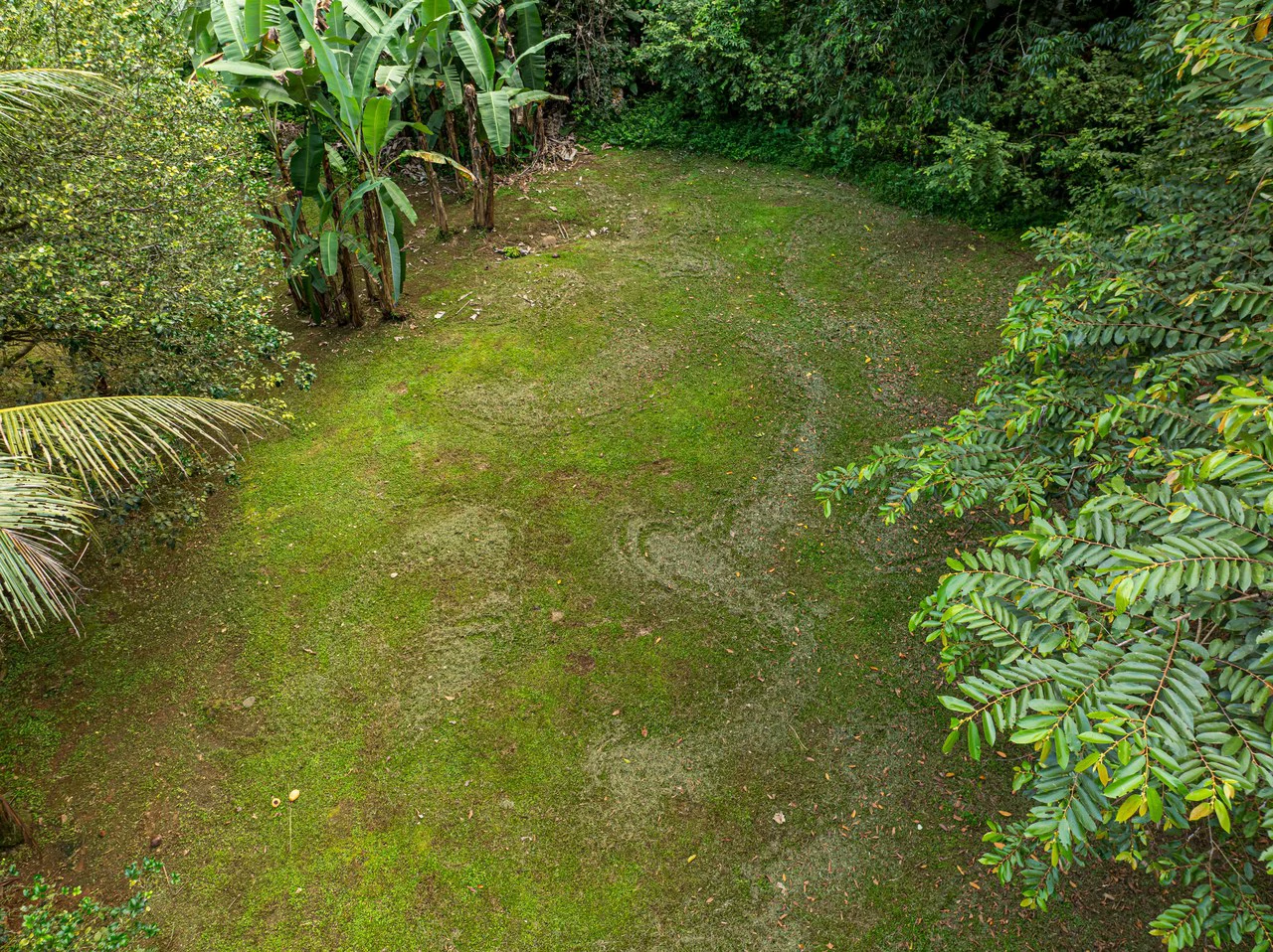 Tropical Hideaway – 7 Acres of Secluded Riverfront with a 3-Bedroom Home: Mountain House For Sale in Bahía Ballena - Gallery image 32