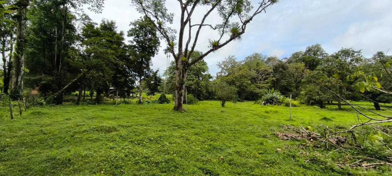 23 Acres of Paradise at Bahia Drake - Gallery image 24