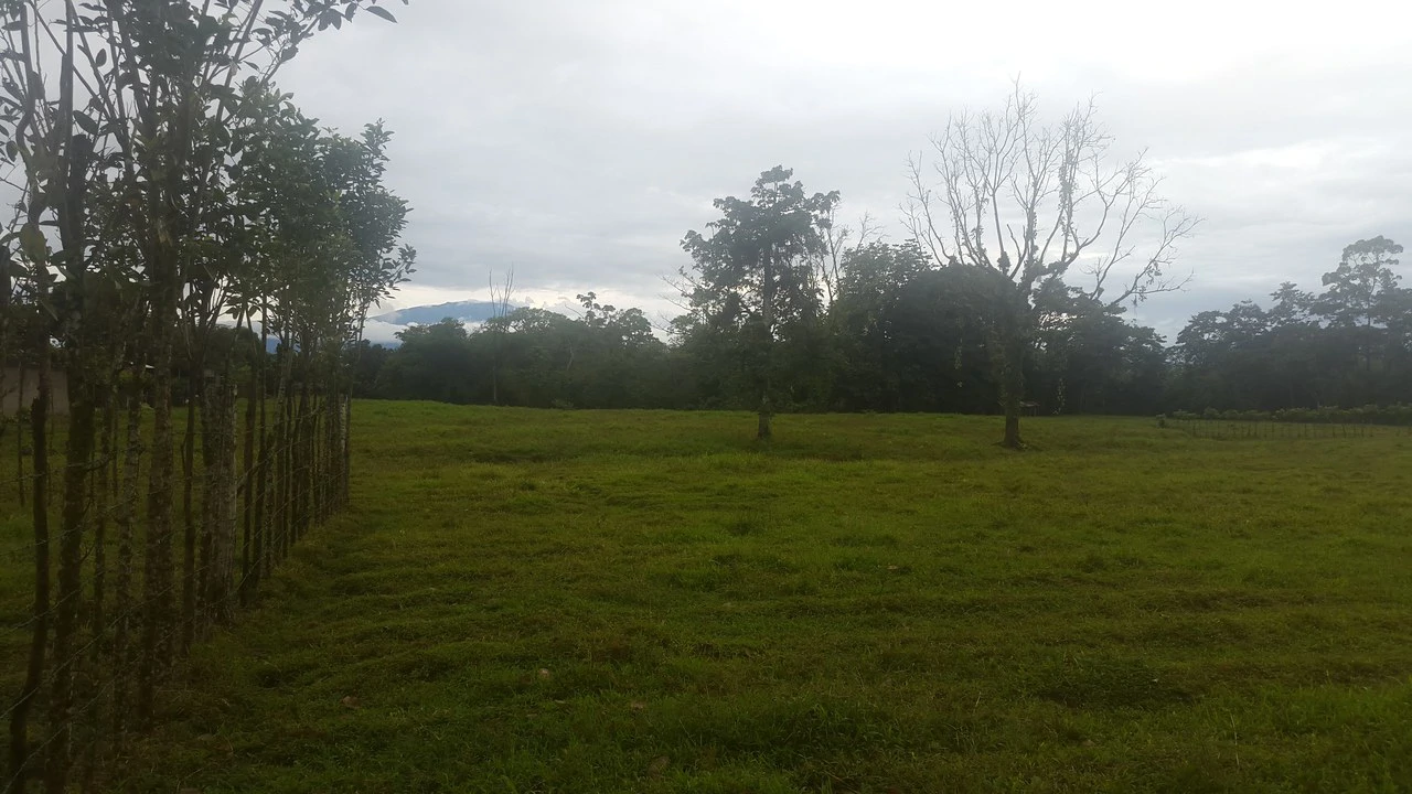 Countryside Development Parcel For Sale in Cariari - Gallery image 10