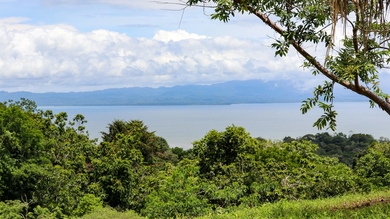 Unique Development Property Overlooking the Pristine Golfito Bay and Golfo Dulce - Gallery image 21