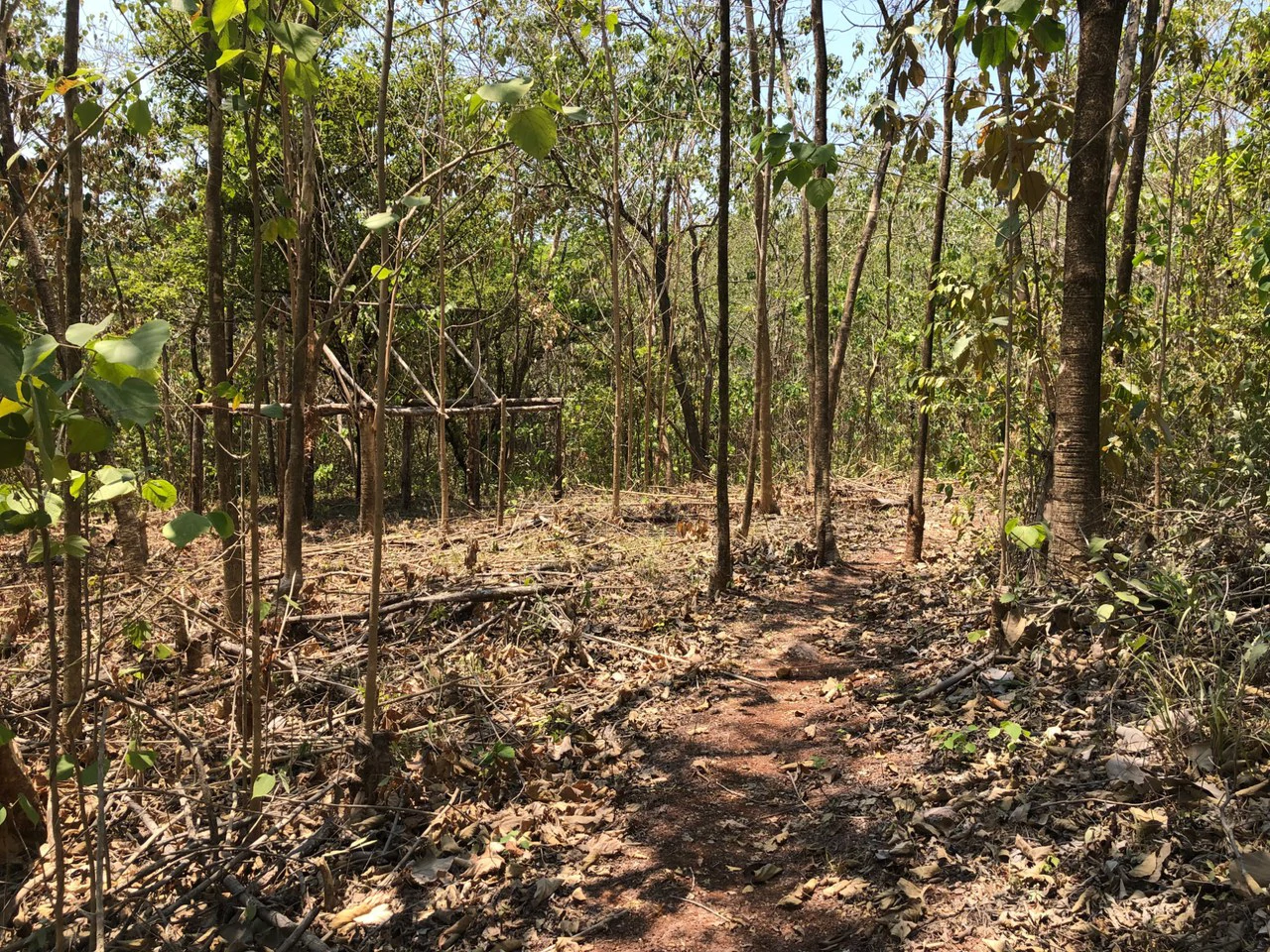 Prime Real Estate Opportunity, Lot with Creek Border in Santo Domingo hills - Gallery image 8