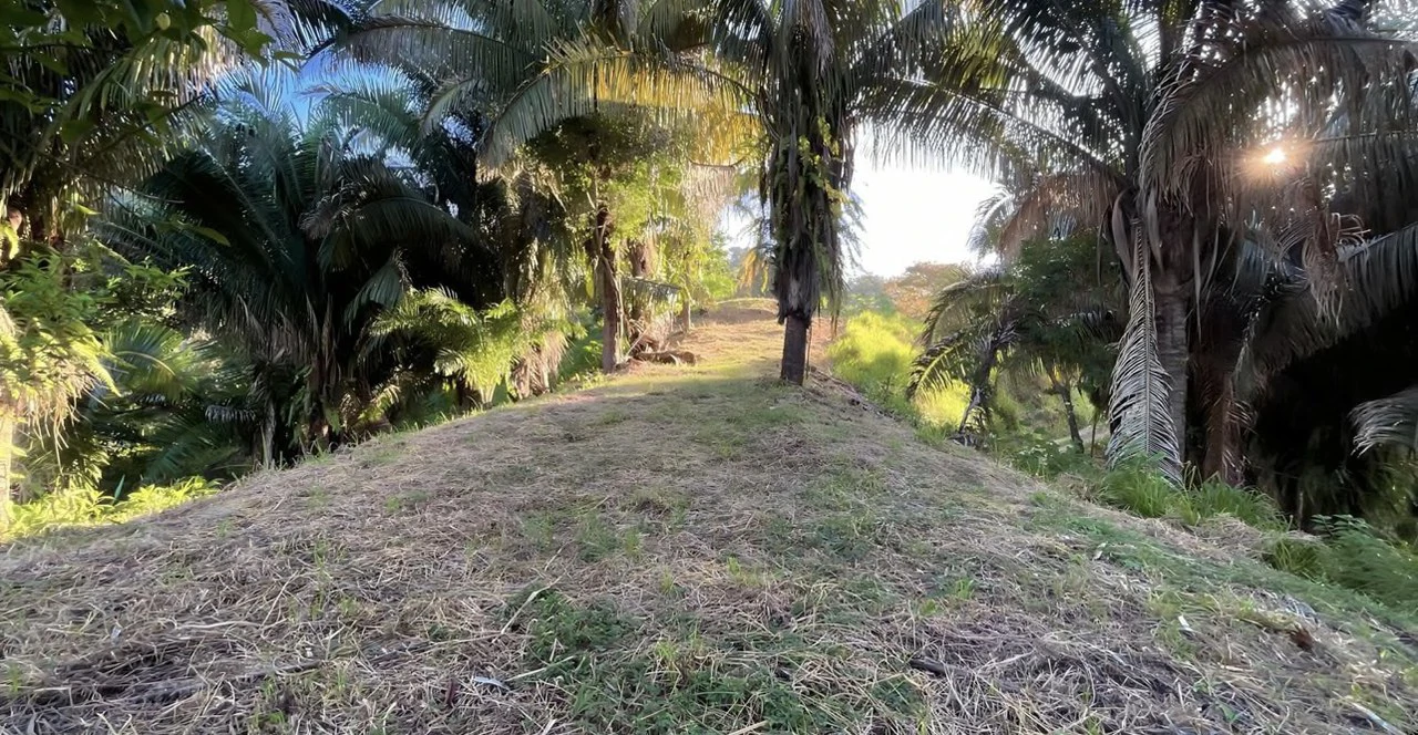 Exclusive Hermosa 1.2 Acre Lot with Panoramic Mountains and Ocean View. - Gallery image 14