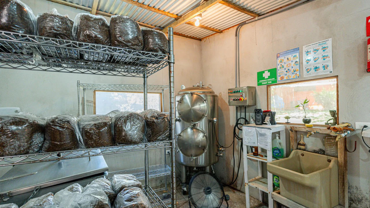 Riverfront Mushroom Farm & Private Waterfall Residence in Orosi - Gallery image 41