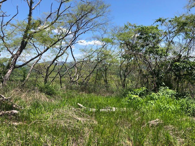 Amazing 50% discount for Huge ocean-view farm for sale surrounded by soft rolling hills and pristine nature - Gallery image 7
