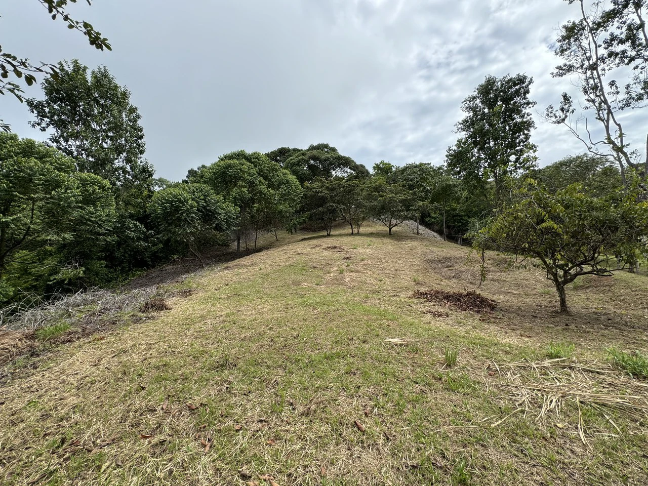 Diamante Waterfall View Land in Dominical 2.9 Acres - Gallery image 3