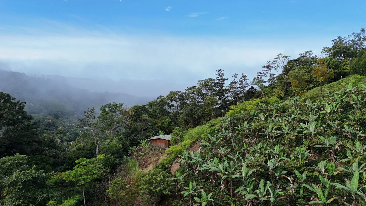 Lote en Chimirol.: Mountain Home Construction Site For Sale in Buena Vista