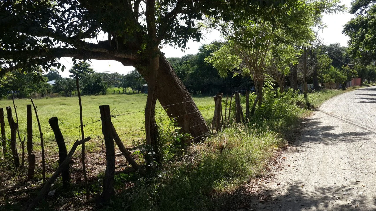 Ganga Lote grande: Building Lot for Sale Near Guanacaste’s Gold Coast - Gallery image 4