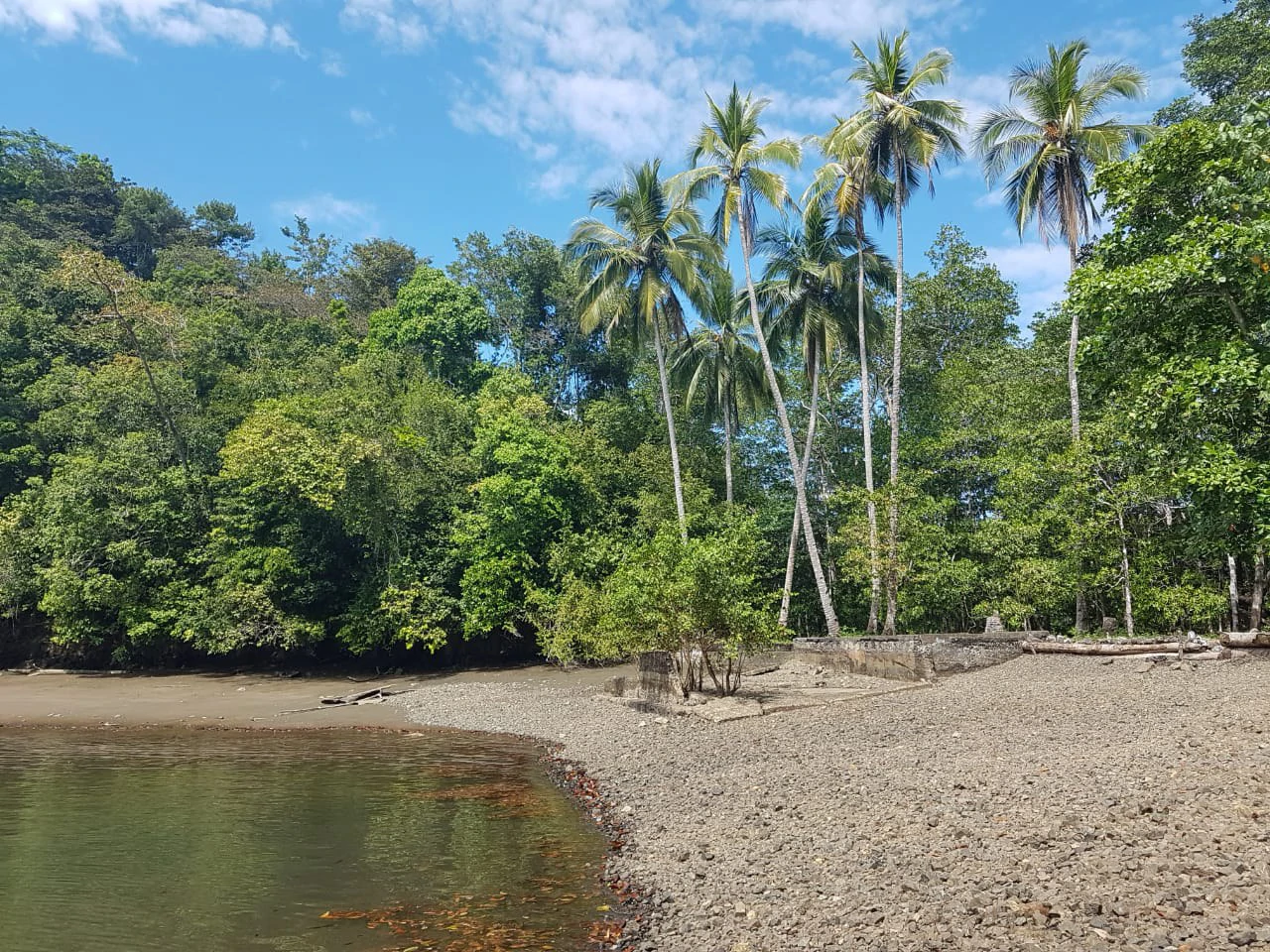 Nature Lover's Marina Resort Investment: Costa Rica South-Pacific Gulf Coast Marina, Rainforest Resort - Gallery image 2