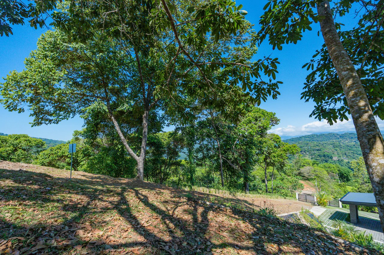 3 Acre Waterfall View Estate Parcel Playa Dominical - Gallery image 8